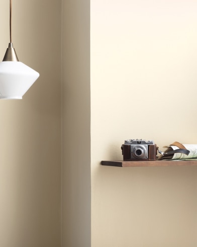 Painted walls with Cappuccino Froth CSP-1055