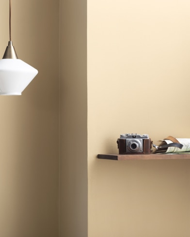 Painted walls with From the Archives CSP-1060