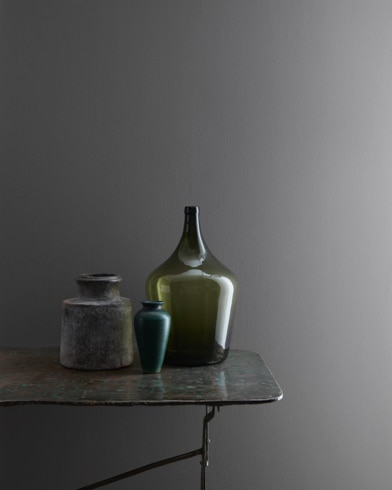 Painted wall with Arctic Seal CSP-15