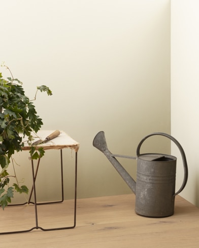 Painted walls with Stoneware CSP-245