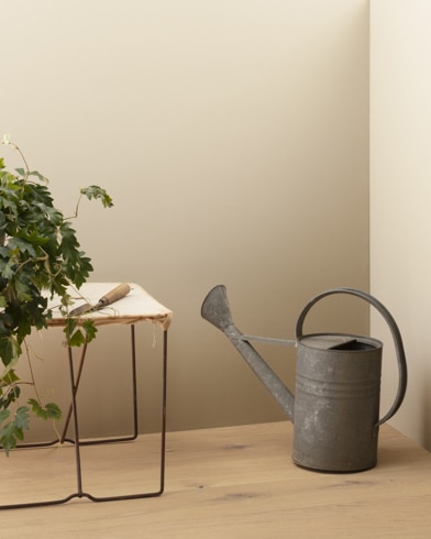 Painted walls with Dulce de Leche CSP-250