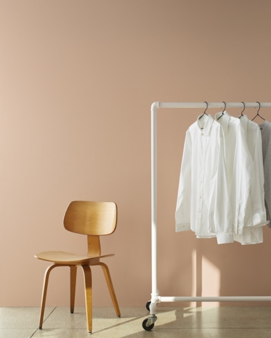 Painted walls with Dark Buff CSP-320