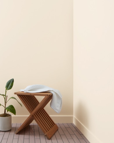 Painted wall with French Macaroon CSP-335