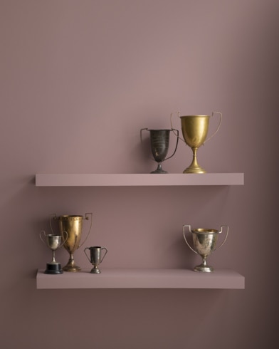 Painted wall with Quietly Violet CSP-415