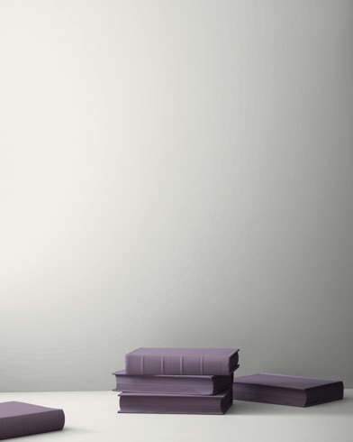 Painted wall with Whisper CSP-500