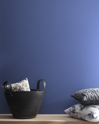 Painted wall with Fancy Pants CSP-525