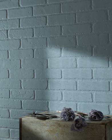 Painted wall with Dusty Cornflower CSP-605