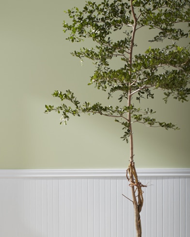 Painted wall with Estate Sale CSP-795