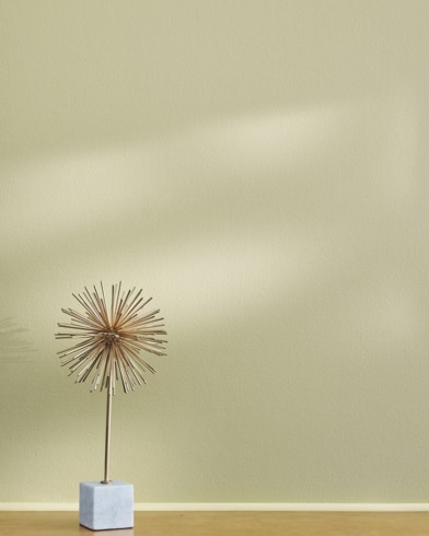 Painted wall with Lichen Stone CSP-820