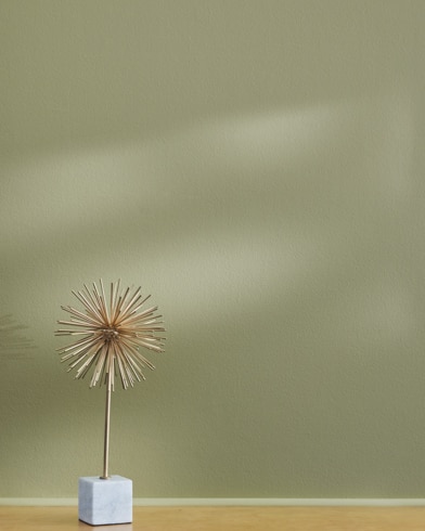 Painted wall with Thayer Green CSP-825