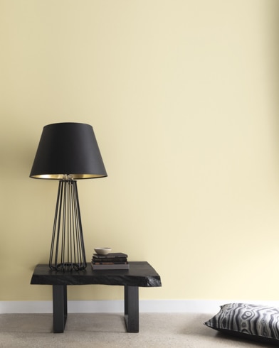 Painted walls with Butter Cookie CSP-995