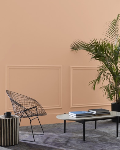 Painted wall with Galt Peach CW-210