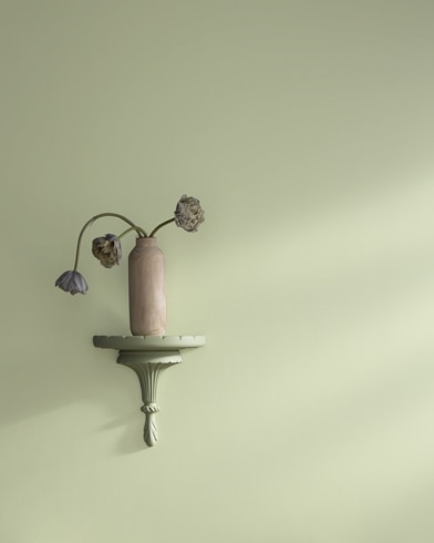 Painted wall with Levingston Green CW-490