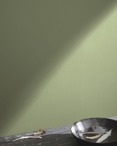 Painted wall with Russell Green CW-495
