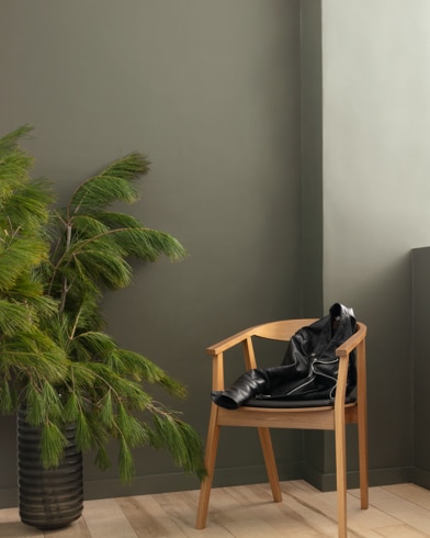 Painted wall with Gunsmith Gray CW-65