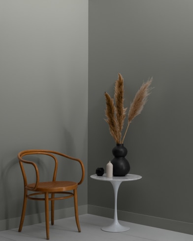 Painted wall with Geddy Gray CW-720