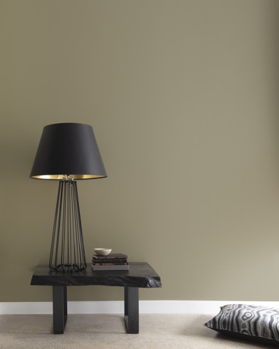 Painted walls with Hampshire Gray HC-101