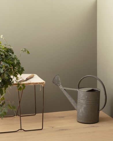 Painted walls with Clarksville Gray HC-102