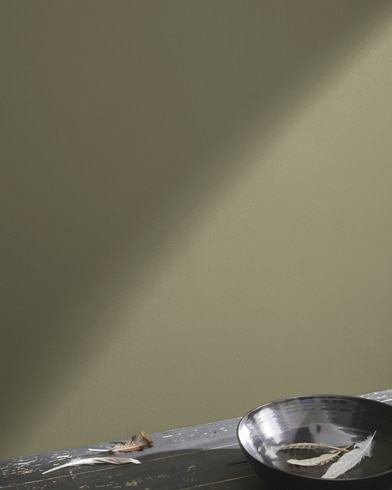 Painted wall with Wethersfield Moss HC-110