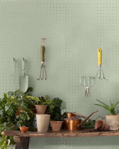 Painted wall with Saybrook Sage HC-114