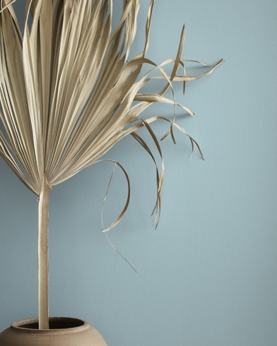 Painted wall with Buxton Blue HC-149