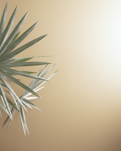 Painted walls with Richmond Bisque HC-177