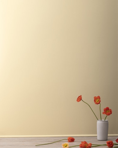 Painted walls with Pittsfield Buff HC-24