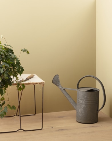 Painted walls with Dunmore Cream HC-29