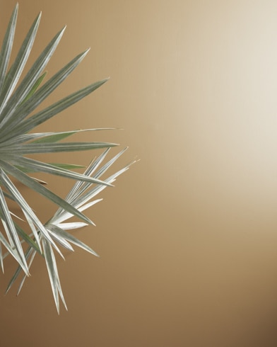 Painted walls with Tyler Taupe HC-43