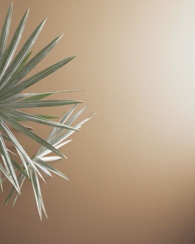 Painted walls with Brookline Beige HC-47