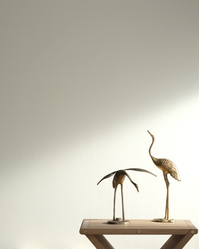 Painted wall with Moonlight White OC-125