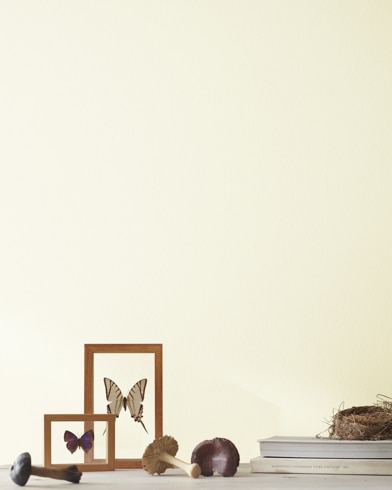 Painted wall with White Chocolate OC-127