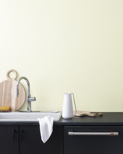 Painted wall with Minced Onion OC-128