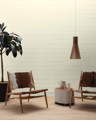 Painted wall with Celery Salt OC-136