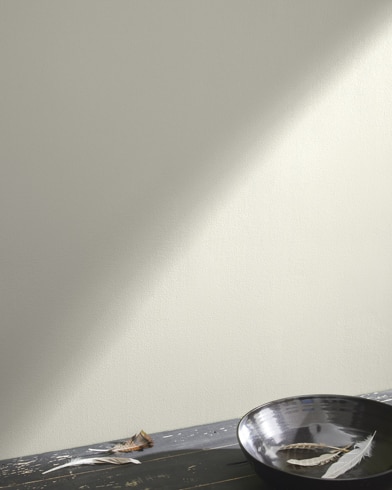 Painted wall with White Drifts OC-138